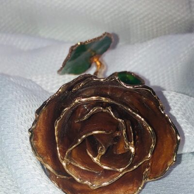 Cinnamon Pearl  Rose With Gold Trim