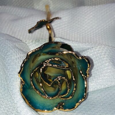 Navy Edge Pearly White Rose With Gold Trim