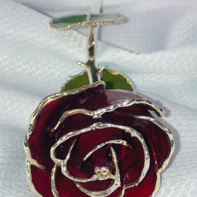 Burgandy  Rose With Silver Trim
