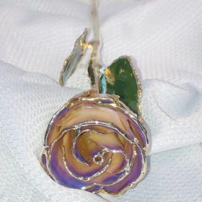 Blue Opal White Rose With Silver Trim