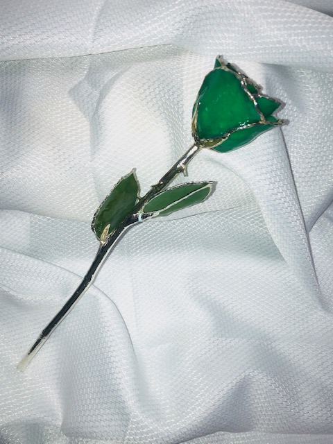 Green Rose with Silver Trim