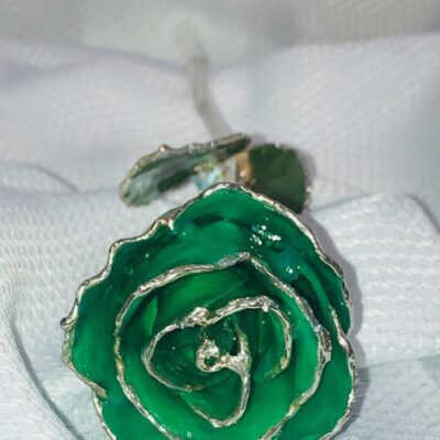 Green Rose with Silver Trim
