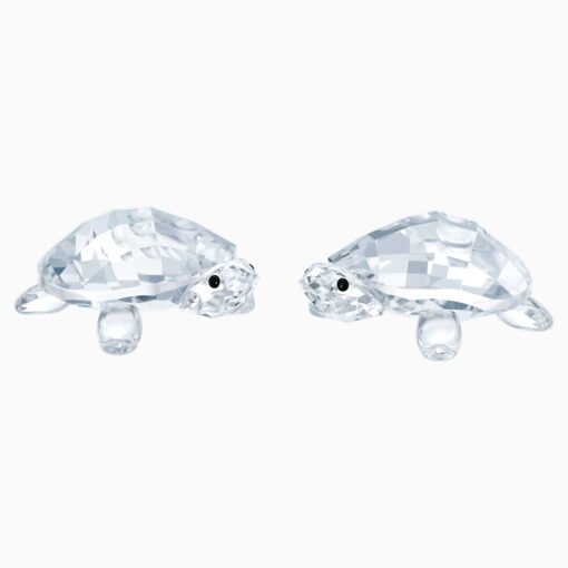 baby-tortoises-swarovski-5394564.jpg