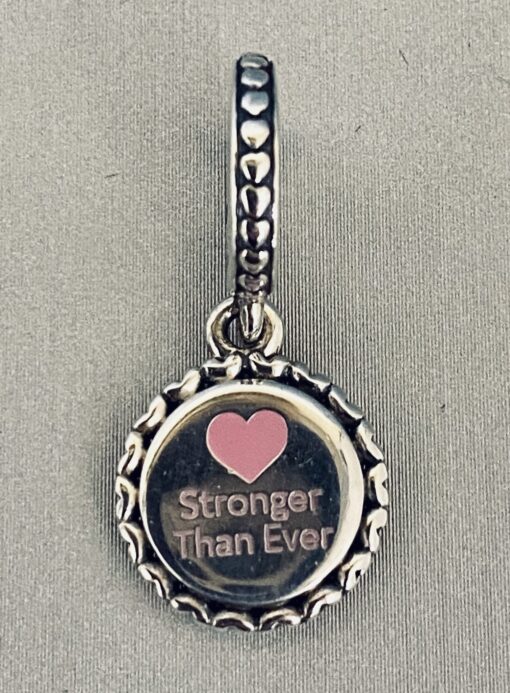 Limited Edition United Together Dangle Charm