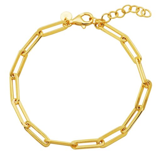 Paperclip chain (5mm)18K Yellow Gold Finish