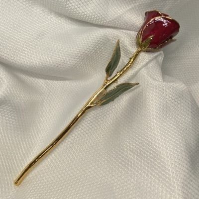 Burgandy  Rose With Gold Trim